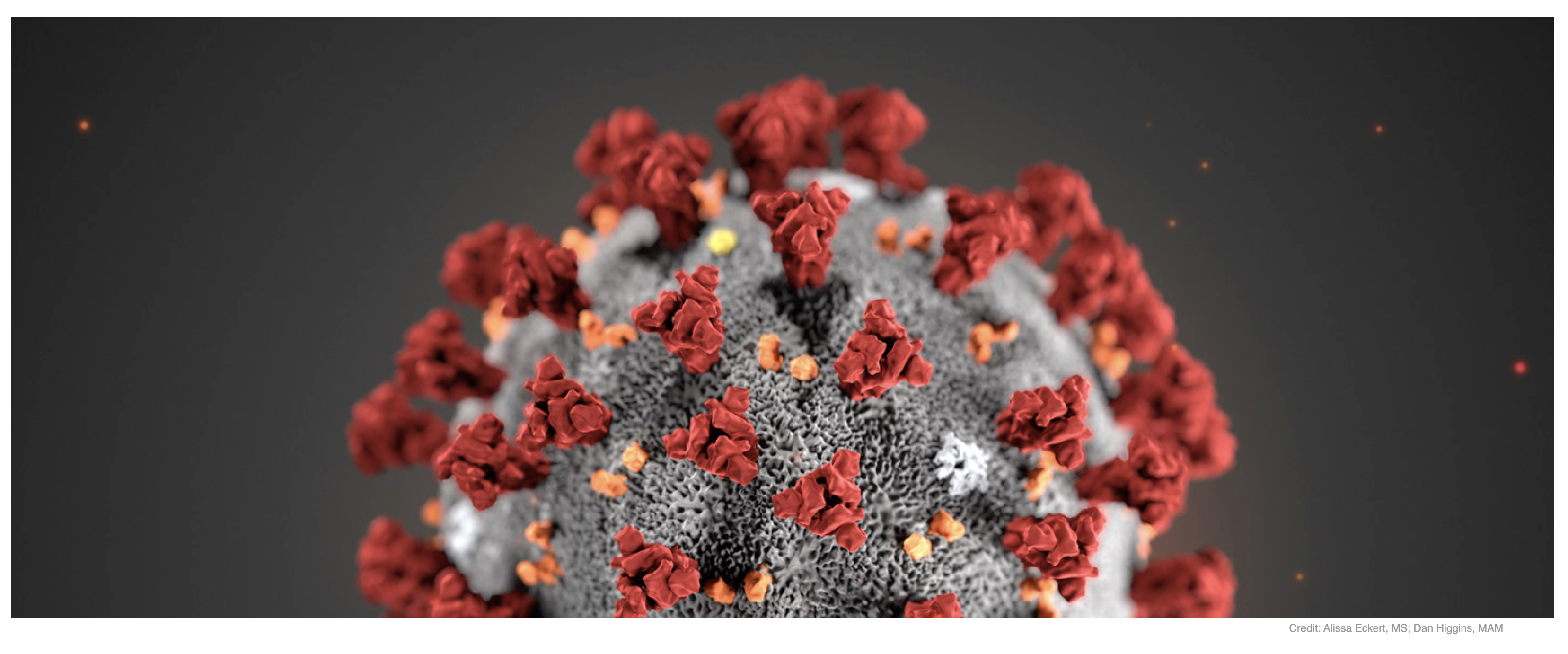 Copper3D achieves important validation against Human Coronavirus Cover image Moving at the Speed of Business