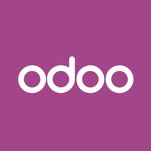 Odoo all in one management and ecommerce system